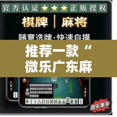 推荐一款“微乐广东麻将免费专用神器”开挂辅助脚本+详细开挂安装教程