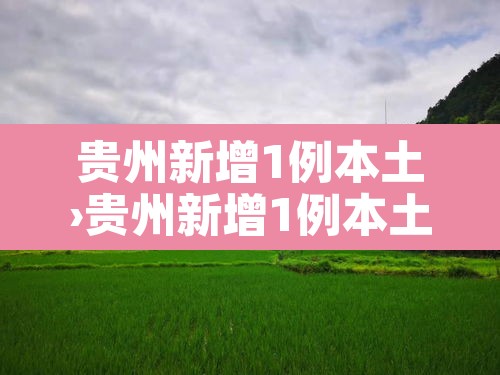 贵州新增1例本土›贵州新增1例本土病例 贵州新增1例本土›贵州新增1例本土病例