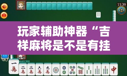 玩家辅助神器“吉祥麻将是不是有挂”(透视)其实确实有挂