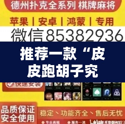 推荐一款“皮皮跑胡子究竟有挂吗”(透视挂)辅助透视教程