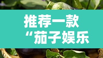 推荐一款“茄子娱乐开挂”其实确实有挂