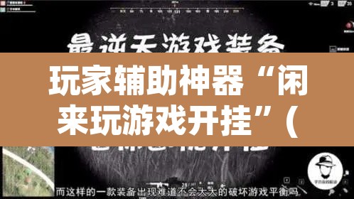玩家辅助神器“闲来玩游戏开挂”(透视)其实确实有挂