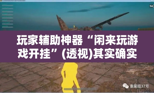 玩家辅助神器“闲来玩游戏开挂”(透视)其实确实有挂