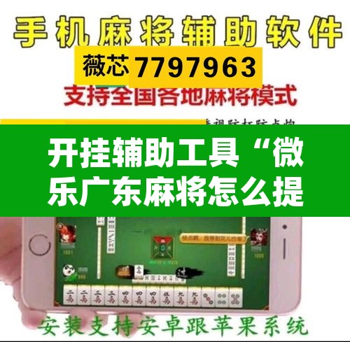 开挂辅助工具“微乐广东麻将怎么提高胜率”(透视挂)辅助透视教程