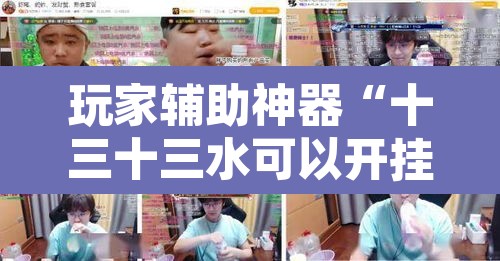 玩家辅助神器“十三十三水可以开挂吗”其实确实有挂