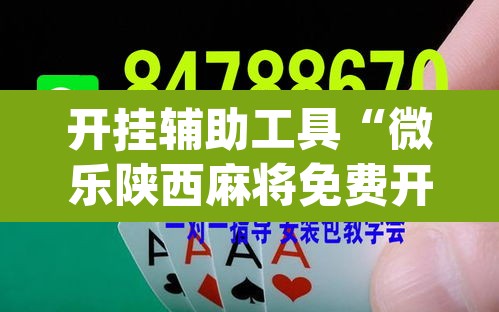 开挂辅助工具“微乐陕西麻将免费开挂神器”(透视)其实确实有挂