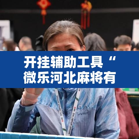 开挂辅助工具“微乐河北麻将有挂吗”其实确实有挂