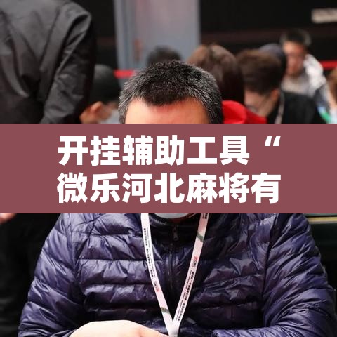 开挂辅助工具“微乐河北麻将有挂吗”其实确实有挂