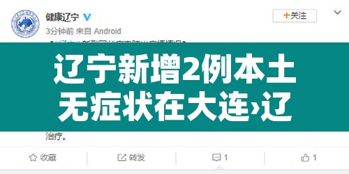 辽宁新增2例本土无症状在大连›辽宁新增11例本土确诊病例均在大连