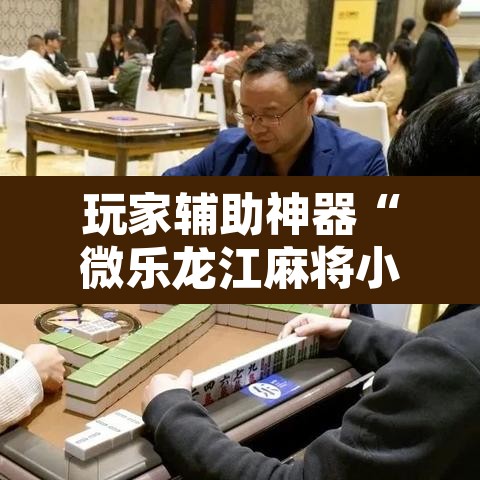 玩家辅助神器“微乐龙江麻将小程序挂”其实确实有挂