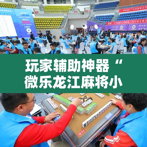 玩家辅助神器“微乐龙江麻将小程序挂”其实确实有挂