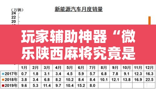 玩家辅助神器“微乐陕西麻将究竟是如何开挂”附辅助神器开挂脚本详细步骤