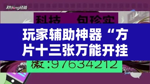 玩家辅助神器“方片十三张万能开挂器”附辅助神器开挂脚本详细步骤
