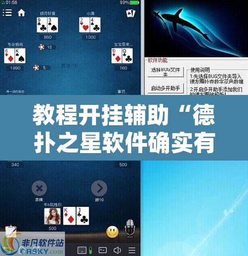教程开挂辅助“德扑之星软件确实有辅助”(透视)其实确实有挂