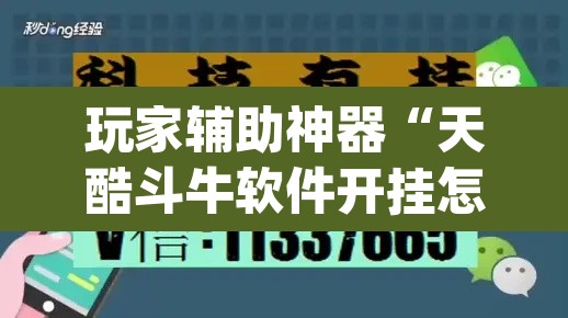 玩家辅助神器“天酷斗牛软件开挂怎么开	”(透视)其实确实有挂