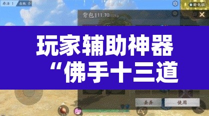 玩家辅助神器“佛手十三道开挂辅助软件	”其实确实有挂
