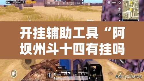 开挂辅助工具“阿坝州斗十四有挂吗”(透视)其实确实有挂