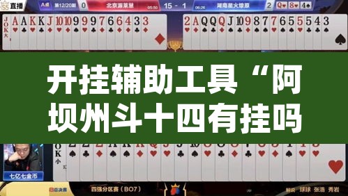 开挂辅助工具“阿坝州斗十四有挂吗”(透视)其实确实有挂