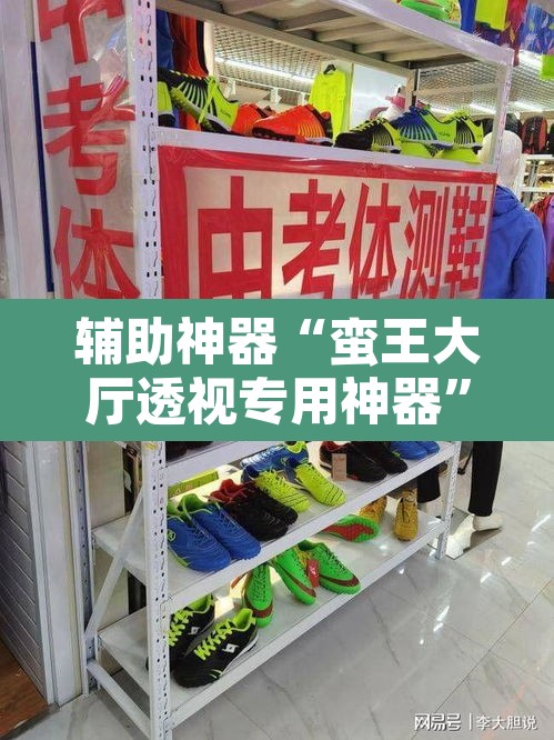 辅助神器“蛮王大厅透视专用神器	”其实确实有挂
