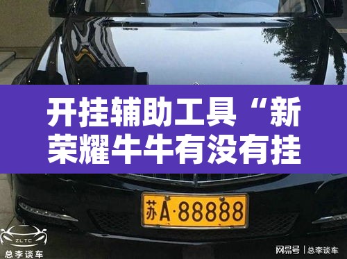 开挂辅助工具“新荣耀牛牛有没有挂”开挂辅助脚本+详细开挂安装教程