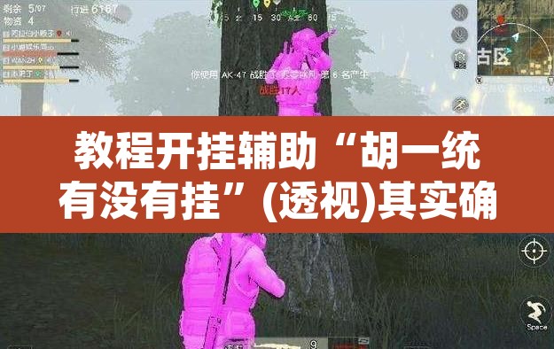 教程开挂辅助“胡一统有没有挂	”(透视)其实确实有挂