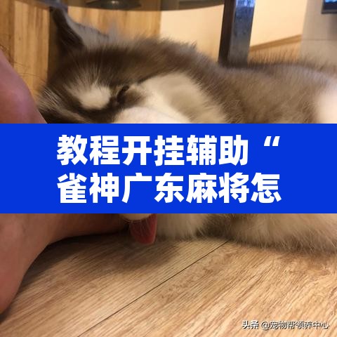 教程开挂辅助“雀神广东麻将怎么打才能赢”附辅助神器开挂脚本详细步骤