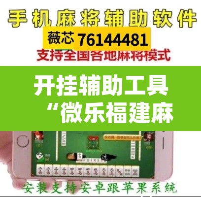 开挂辅助工具“微乐福建麻将怎么开挂”(透视挂)辅助透视教程