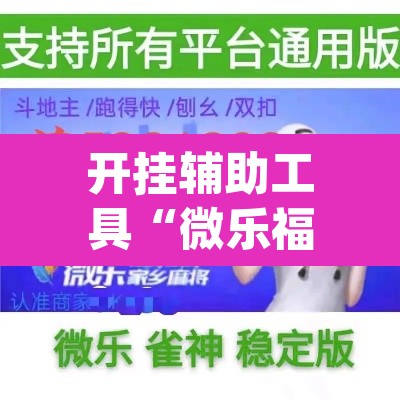 开挂辅助工具“微乐福建麻将怎么开挂	”(透视挂)辅助透视教程