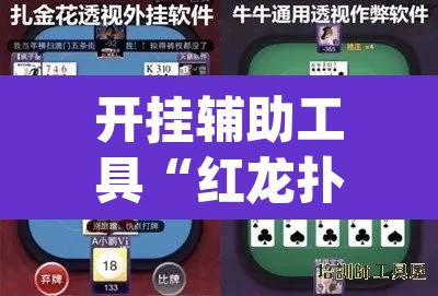 开挂辅助工具“红龙扑克确实可以开挂”(透视)其实确实有挂