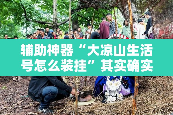 辅助神器“大凉山生活号怎么装挂”其实确实有挂