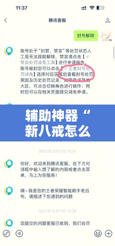 辅助神器“新八戒怎么开挂”附辅助神器开挂脚本详细步骤