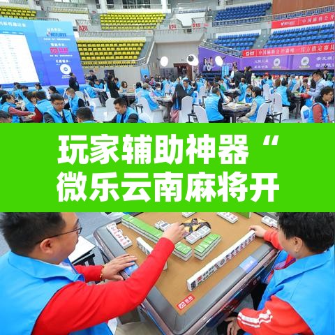 玩家辅助神器“微乐云南麻将开挂教程”其实确实有挂
