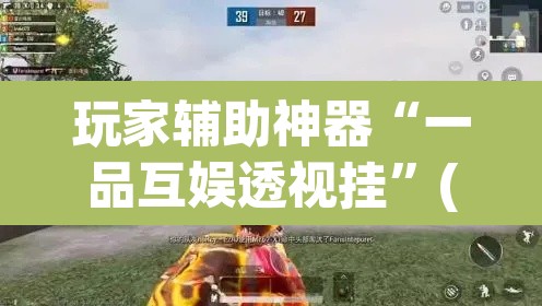 玩家辅助神器“一品互娱透视挂”(透视挂)辅助透视教程