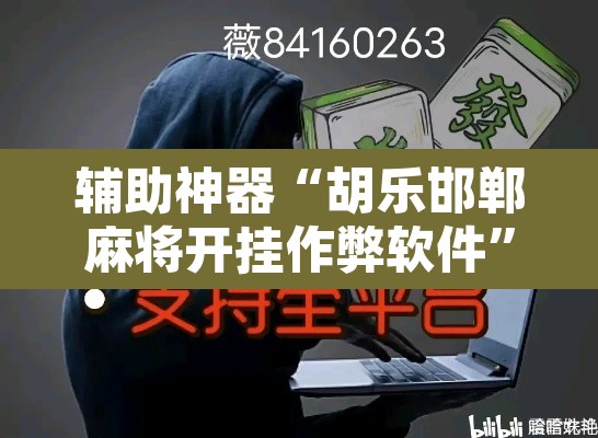 辅助神器“胡乐邯郸麻将开挂作弊软件	”其实确实有挂