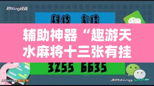 辅助神器“趣游天水麻将十三张有挂吗”(透视挂)辅助透视教程