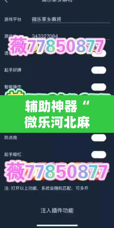 辅助神器“微乐河北麻将开挂下载	”(透视)其实确实有挂