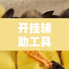 开挂辅助工具“有间麻将馆有没有挂	”(透视)其实确实有挂