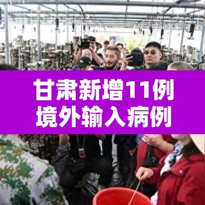 甘肃新增11例境外输入病例›甘肃新增11例境外输入病例多少 甘肃新增11例境外输入病例›甘肃新增11例境外输入病例多少