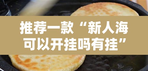 推荐一款“新人海可以开挂吗有挂	”(透视挂)辅助透视教程