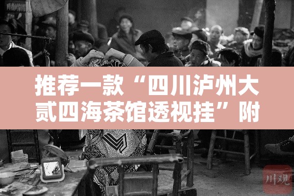推荐一款“四川泸州大贰四海茶馆透视挂”附辅助神器开挂脚本详细步骤