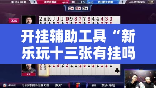 开挂辅助工具“新乐玩十三张有挂吗”其实确实有挂
