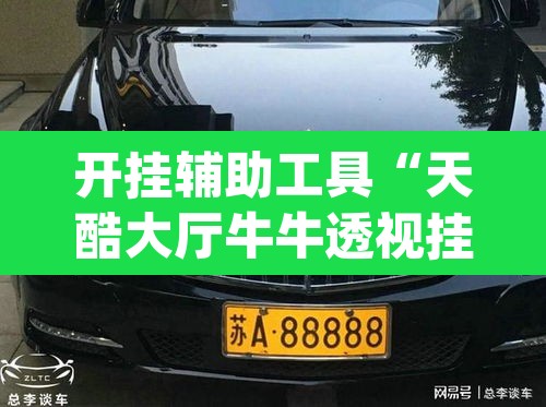 开挂辅助工具“天酷大厅牛牛透视挂软件	”(透视挂)辅助透视教程