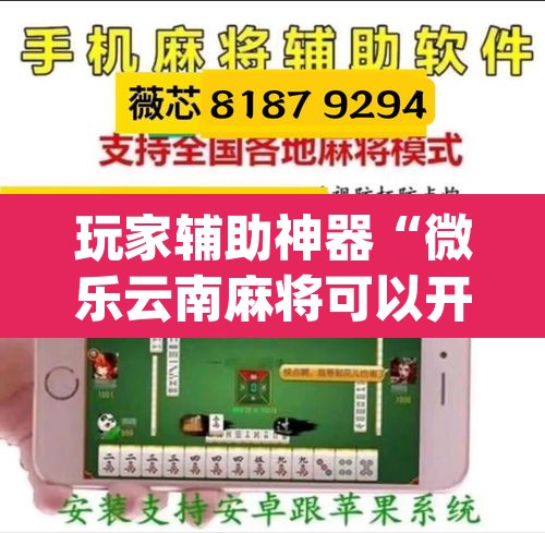 玩家辅助神器“微乐云南麻将可以开挂吗”(透视挂)辅助透视教程