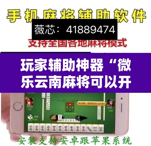 玩家辅助神器“微乐云南麻将可以开挂吗”(透视挂)辅助透视教程