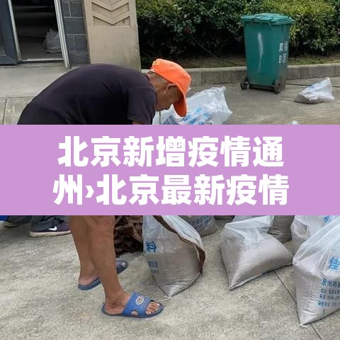 北京新增疫情通州›北京最新疫情通州
