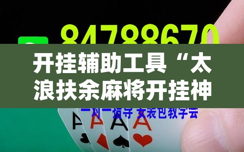 开挂辅助工具“太浪扶余麻将开挂神器”(透视)其实确实有挂