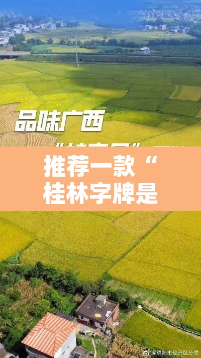 推荐一款“桂林字牌是不是有挂”其实确实有挂