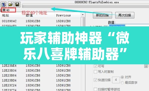玩家辅助神器“微乐八喜牌辅助器	”附辅助神器开挂脚本详细步骤