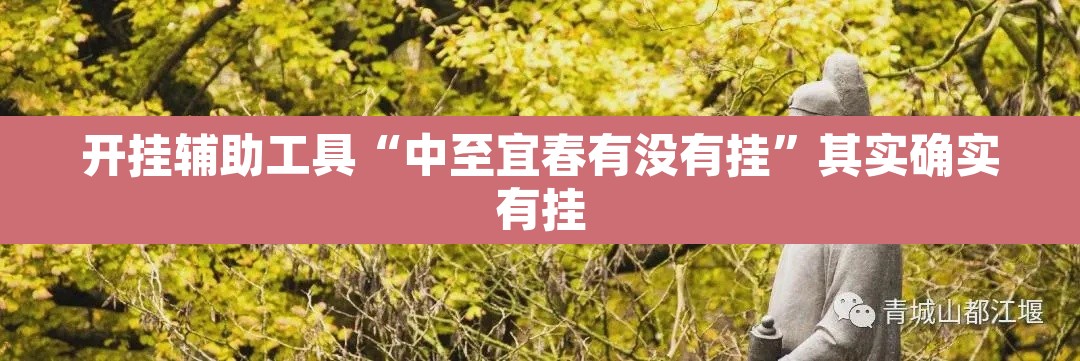 开挂辅助工具“中至宜春有没有挂	”其实确实有挂
