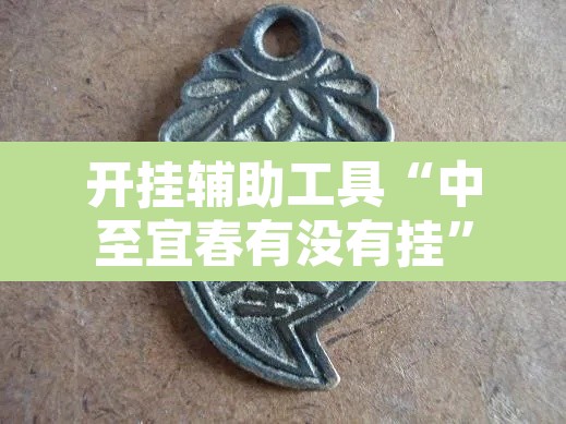 开挂辅助工具“中至宜春有没有挂”其实确实有挂